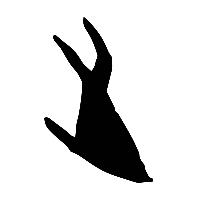 甲骨文止0