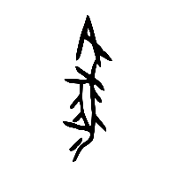 甲骨文邍1