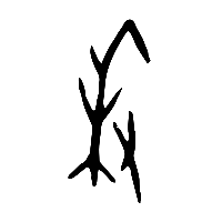 甲骨文秉0