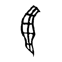 甲骨文羽1
