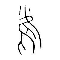 甲骨文雀0