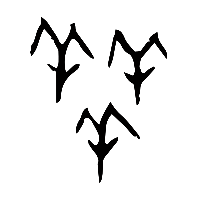 甲骨文羴0