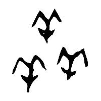 甲骨文羴1