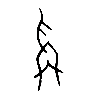 甲骨文爯0