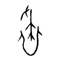甲骨文盡1