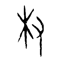 甲骨文權权0