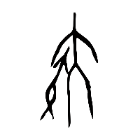 甲骨文疾1