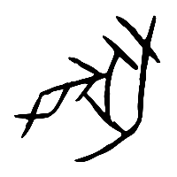 甲骨文彘0