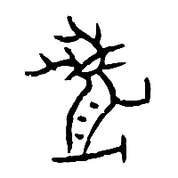 甲骨文鹿1