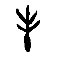 甲骨文封1
