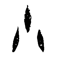 金文小0