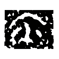 金文尒1
