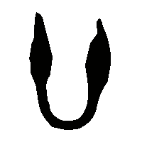金文廿1