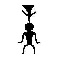 金文竟0