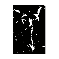 金文丞0