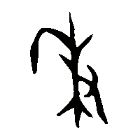 金文秉1