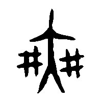 金文爽2