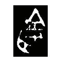 金文釗0