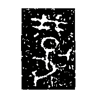 金文刑0