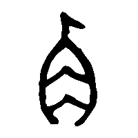 金文角1