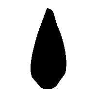 金文丶0