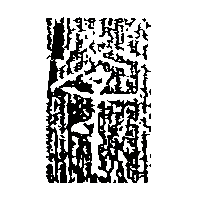 金文李1