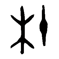 金文杜1