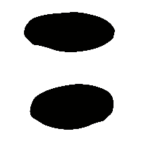 金文呂1