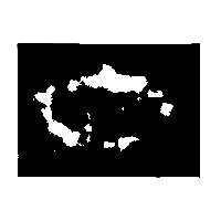 金文厶2