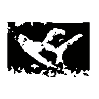 金文厃1