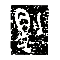 金文豹1
