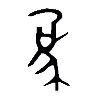 金文象1