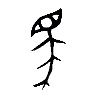 金文馬0