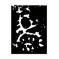 金文麋1