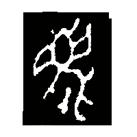 金文麀0