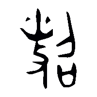 金文照0