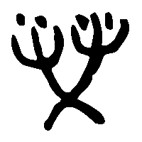 金文熒1
