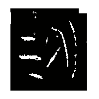 金文汾0