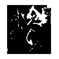 金文滑0