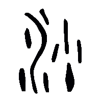 金文沙1