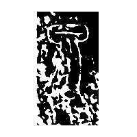 金文泉2