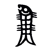 金文魚0