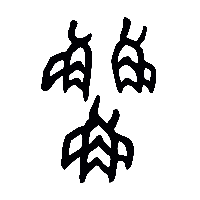 金文鱻0