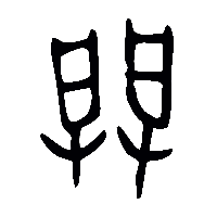 金文闢2
