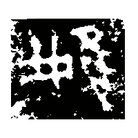 金文婎2