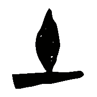 金文土0