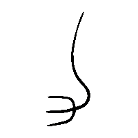 金文力1