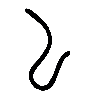说文解字篆文厷0