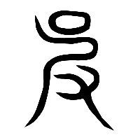说文解字篆文皮1