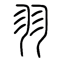 说文解字篆文羽0